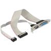 Delock - Serielle / parallele Konsole - DB-9, DB-25 zu IDC 25-polig, 9-polig IDC (W) - 30 cm