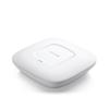 Access Point / 300Mbps Wless N / Ceiling / Wall Mount
