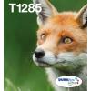 Epson T1285 Easy Mail Packaging - 4er-Pack - 16.4 ml - Schwarz, Gelb, Cyan, Magenta - original - Box - Tintenpatrone - für Stylus S22, SX130, SX230, SX235, SX430, SX435, SX438, SX440, SX445, Stylus Office BX305