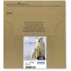 Epson 26 Multipack Easy Mail Packaging - 4er-Pack - 19.7 ml - Schwarz, Gelb, Cyan, Magenta - original - Tintenpatrone - für Expression Premium XP-510, 520, 600, 605, 620, 625, 700, 720, 800, 820