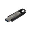 SanDisk Extreme Go - USB-Flash-Laufwerk - 256 GB - USB 3.2 Gen 1