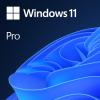 Windows 11 Pro - Lizenz - 1 Lizenz - OEM - DVD - 64-bit - Französisch