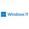 Windows 11 Pro - Lizenz - 1 Lizenz - OEM - DVD - 64-bit - Englisch