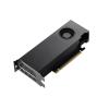 NVIDIA RTX A2000 - Grafikkarten - RTX A2000 - 12 GB GDDR6 - PCIe 4.0 x16 - 4 x Mini DisplayPort